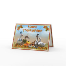 Thanksgiving Ducks Cards