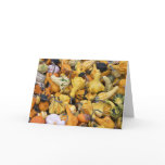 Thanksgiving Gourds Greeting Cards