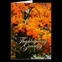 Thanksgiving cards