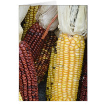 Thanksgiving Harvest Greeting Card