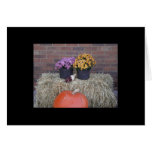 Thanksgiving Harvest Fall Scene Card