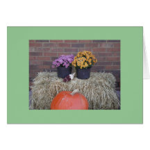 Thanksgiving Harvest Fall Scene Greeting Cards