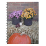 Thanksgiving Harvest Fall Scene Notebooks