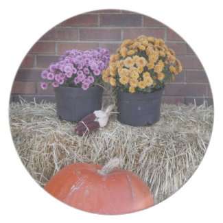 Thanksgiving Harvest Fall Scene plate