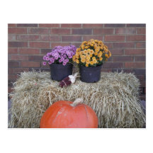 Thanksgiving Harvest Fall Scene Postcard
