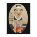 Thanksgiving Invitation postcard