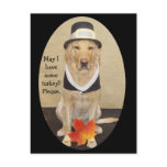 Thanksgiving Invitation Post Card