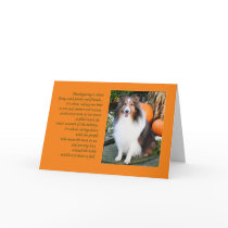 Thanksgiving is...Sheltie Card cards