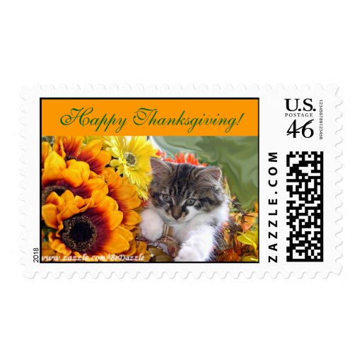 Thanksgiving Kitty Cat, Fall Sunflowers Flowers Postage Stamp