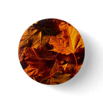 Thanksgiving Leaves buttons by FallSeason Thanksgiving Leaves buttons