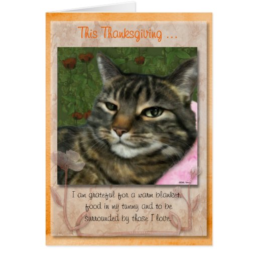 Thanksgiving message from your cat. card Zazzle
