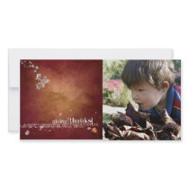 thanksgiving Photcard photo cards