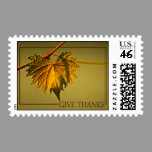 Thanksgiving Postage stamps