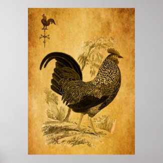Thanksgiving Rooster Posters