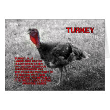 Thanksgiving Turkey Humor Greeting Cards