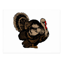 Thanksgiving Turkey Post Cards