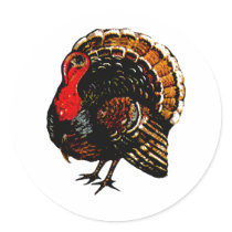 Thanksgiving Turkey stickers