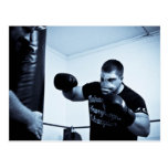 Thark the Boxer Postcard