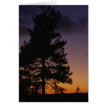That beautiful evening! cards