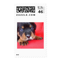 That Meal was Rotten postage by taiche That Meal was Rotten postage