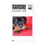 That Meal was Rotten Postage Stamps