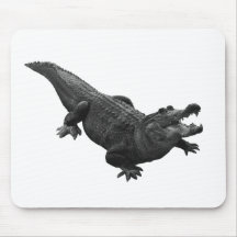 THAT ONE ALLIGATOR MOUSE PAD