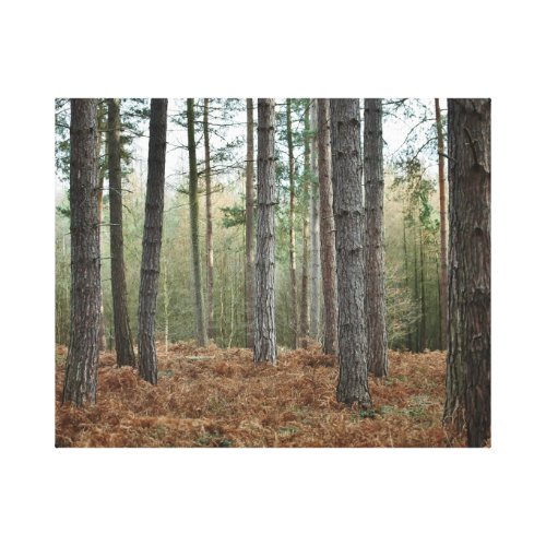 That subtle something... stretched canvas prints