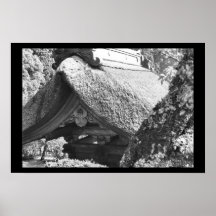 Thatched Roof Japan Black Posters