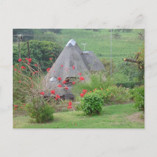 Thatched Roof postcard
