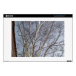 That's a tree! decal for 13" laptop 