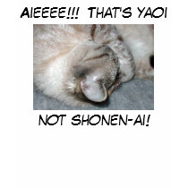 That's yaoi not shonen-ai t-shirts