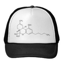 THC MESH HAT