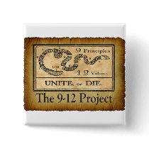 the912project.com unite or die pin