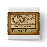 the912project.com unite or die buttons