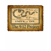 the912project.com unite or die t-shirt child