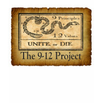 the912project.com unite or die t-shirt w