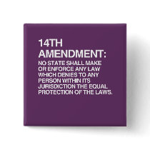 THE 14TH AMENDMENT PINS