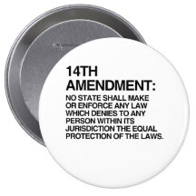THE 14TH AMENDMENT BUTTONS