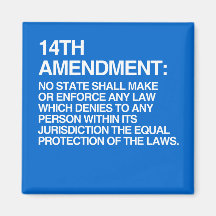 THE 14TH AMENDMENT FRIDGE MAGNET