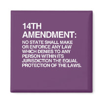 THE 14TH AMENDMENT REFRIGERATOR MAGNETS