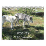 mountains, nature, animal, wolf, wolves, grey, white, calendar, national, park, outdoors, playing, canis, lupus, 2012, months, animals