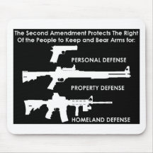 The 2nd Amendment Protects... Mouse Pad
