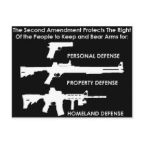 The 2nd Amendment Protects... Postcards