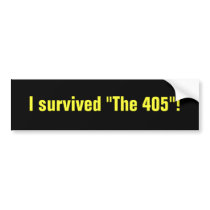 THE 405 bumper sticker