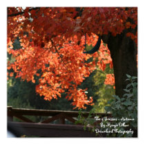 The 4 Seasons - Autumn Poster posters by Dmargie1029 The 4 Seasons - Autumn Poster posters
