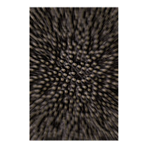The 8 Ball posters