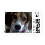 The Abbster Stamp