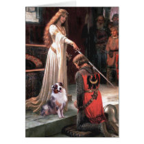 The Accolate - Aussie Shep 1 Card