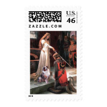 The Accolate - Aussie Shep 1 Postage Stamp