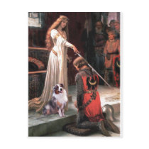 The Accolate - Aussie Shep 1 Post Card